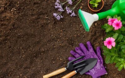 Como cuidar tu jardín