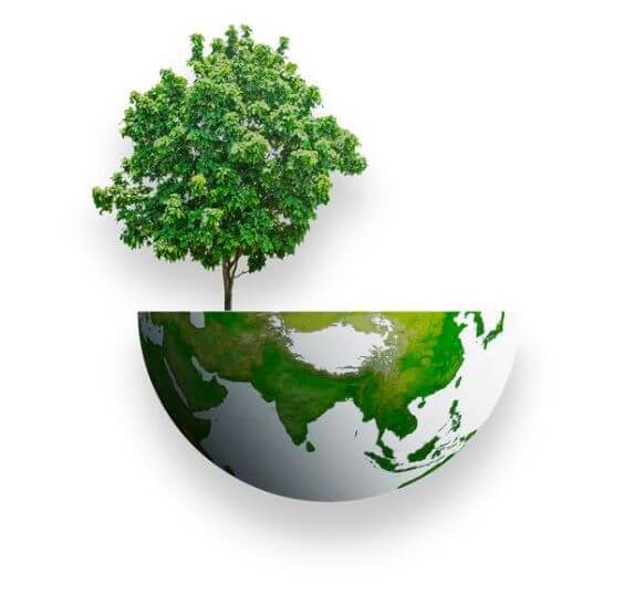 medio ambiente eco mundo